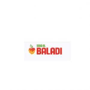 البلدي
